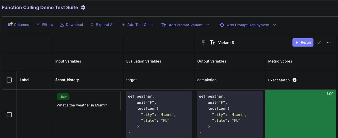 Function Call Tests