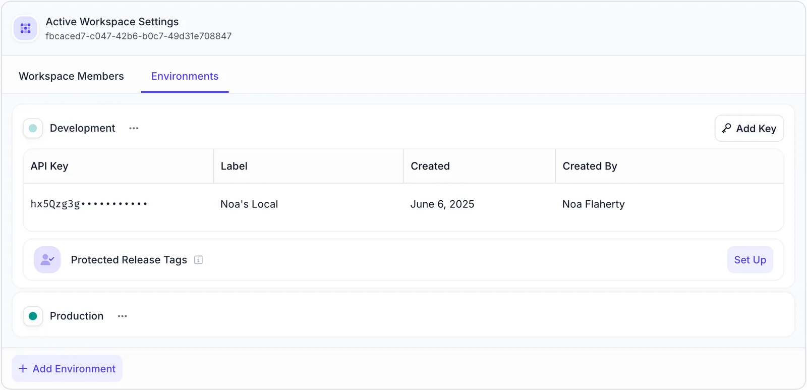 Workspace Settings showing Environment management with Development and Production environments